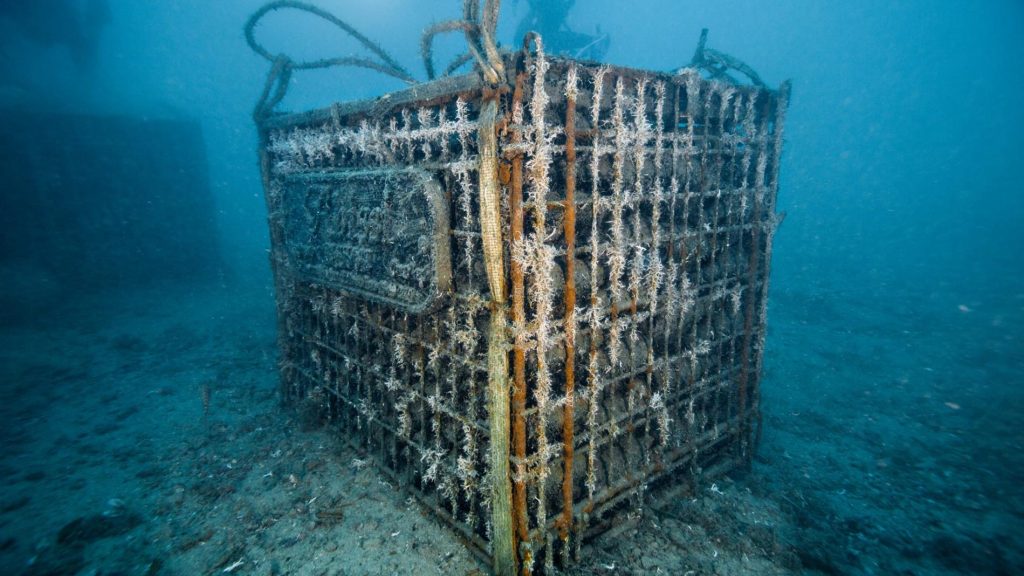 Underwater wine cellar in Calpe, Spain