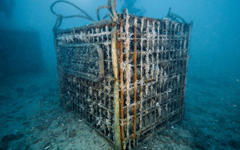 Underwater wine cellar in Calpe, Spain