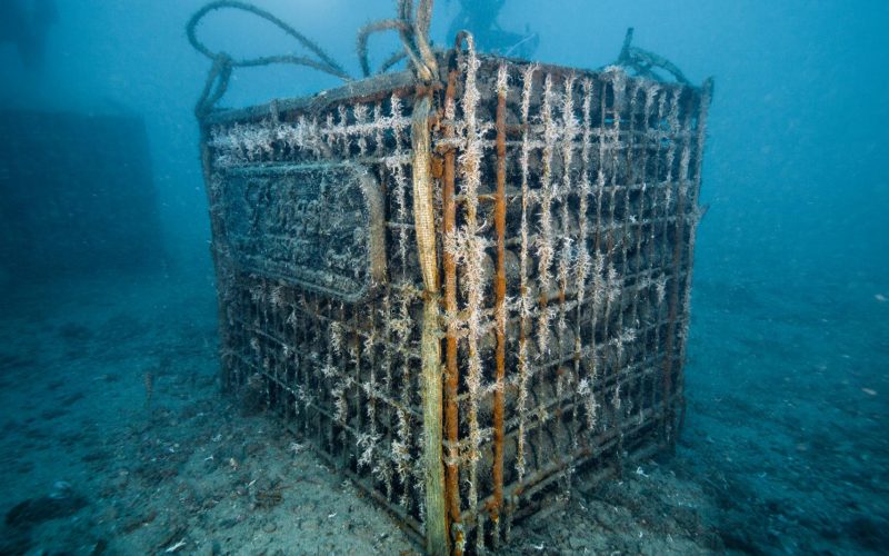 Underwater wine cellar in Calpe, Spain