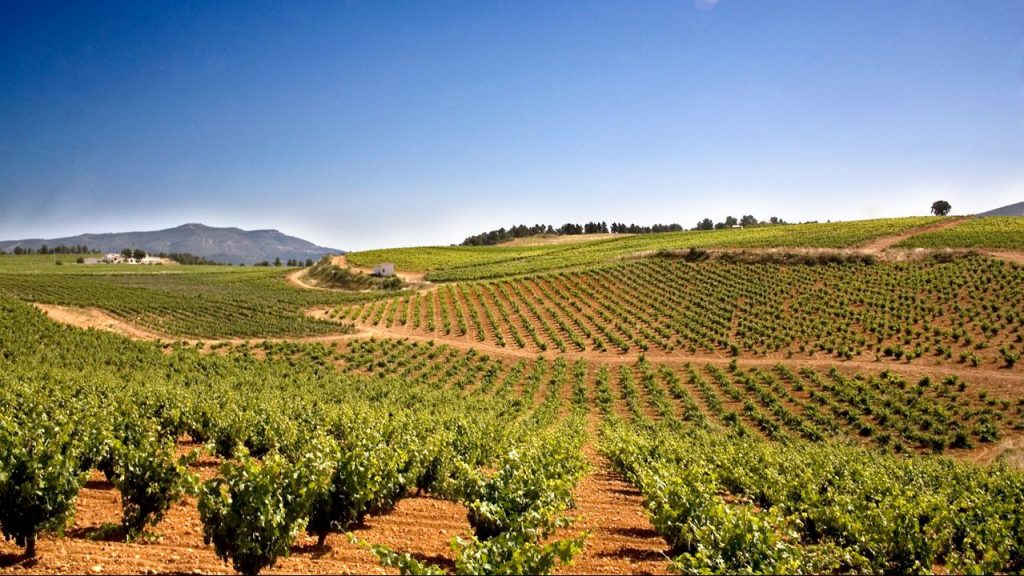 Vignobles à vendre dans la D.O. Utiel-Requena