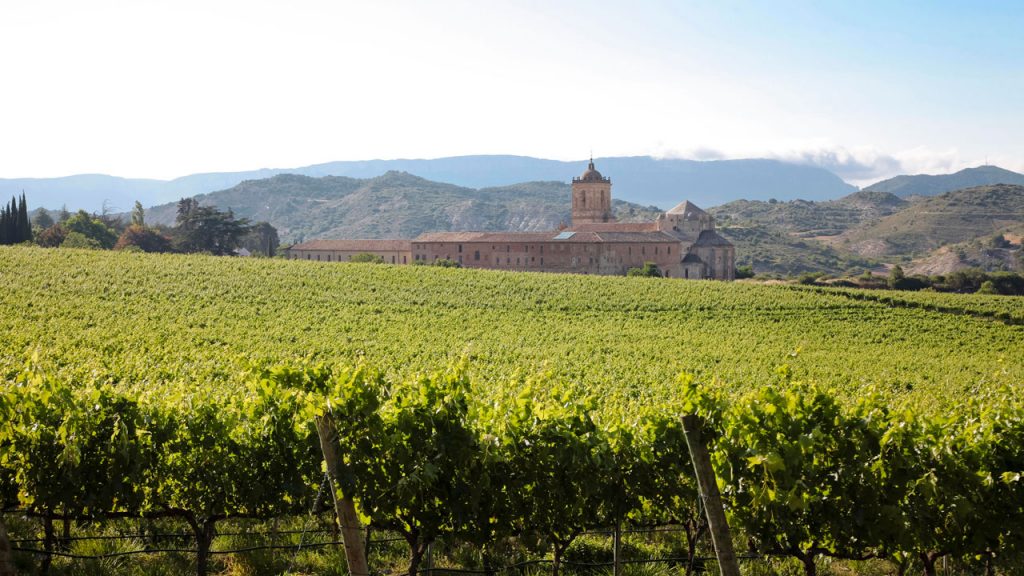 Winery and vineyards in Navarra - vineyards for the production of red wine