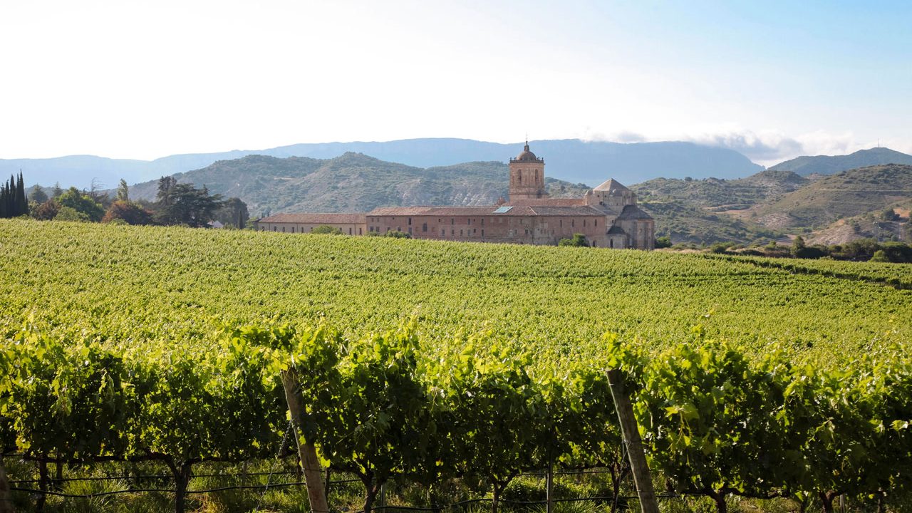 Weinkellerei und Weinberge in Navarra, Spanien