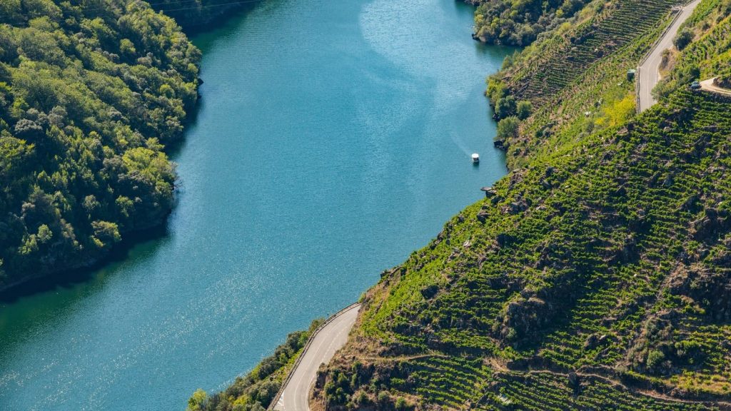 Viñedos de variedades únicas de uva