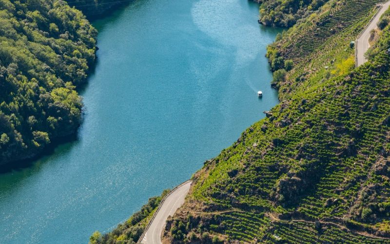 Viñedos de variedades únicas de uva