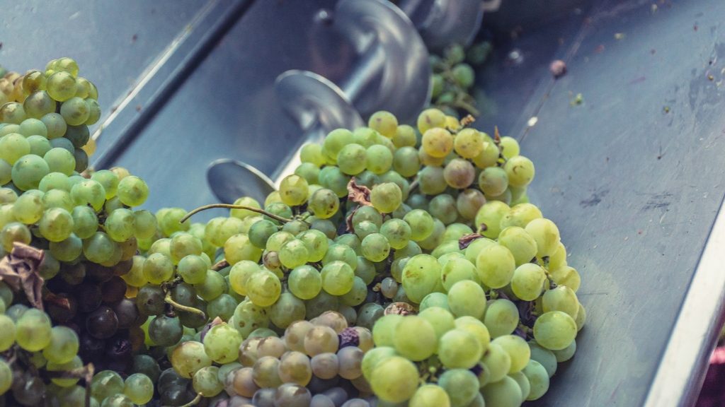 Maquinaria para bodega pequeña