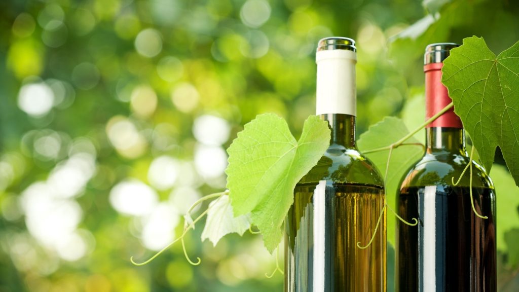 Botellas de vino vendimia 2019