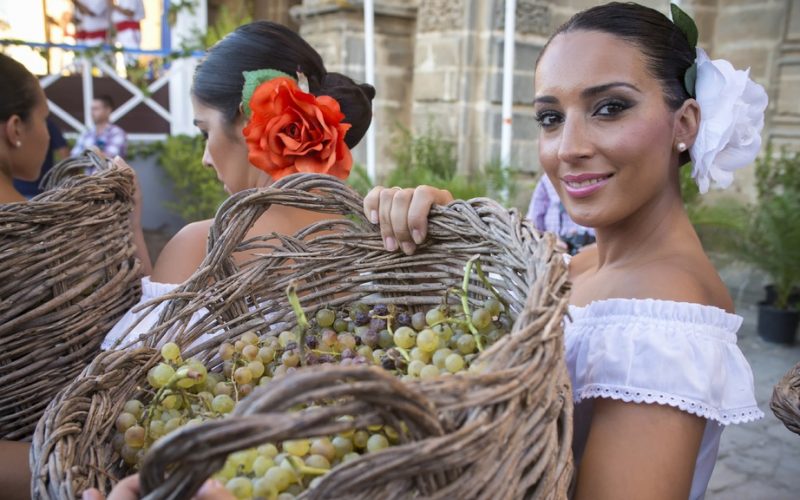 Festiwal zbiorów w Jerez