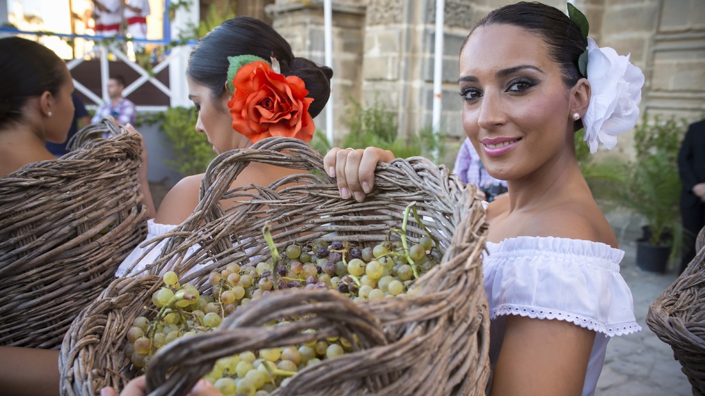 5 Wine Festivals in Spain You Should Experience Rimontgó