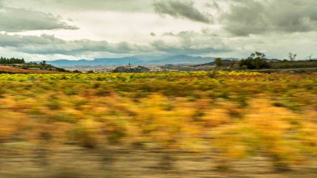 La Rioja classica vs la Rioja moderna