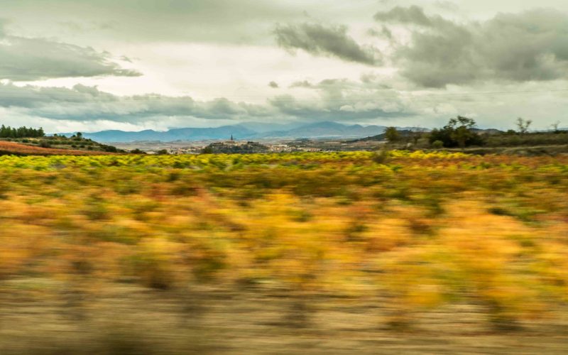 La Rioja classica vs la Rioja moderna