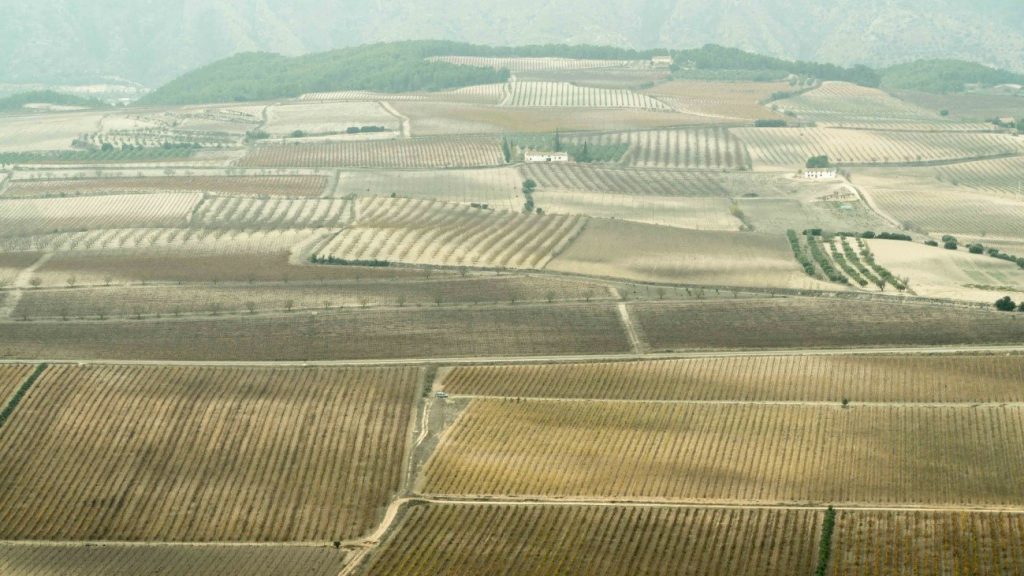 El vino en la Comunidad Valenciana