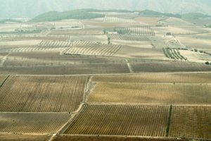 El vino en la Comunidad Valenciana El vino en la Comunidad Valenciana
