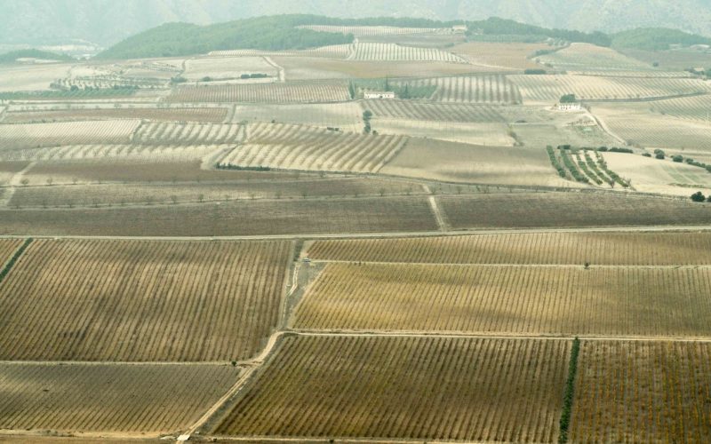 Wein - Comunidad Valenciana