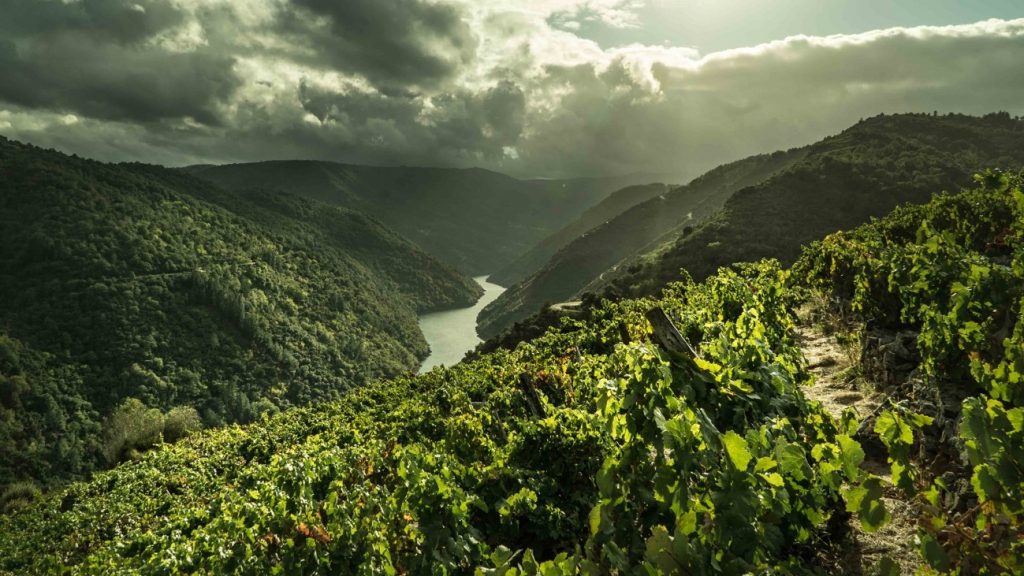 Ribeira Sacra