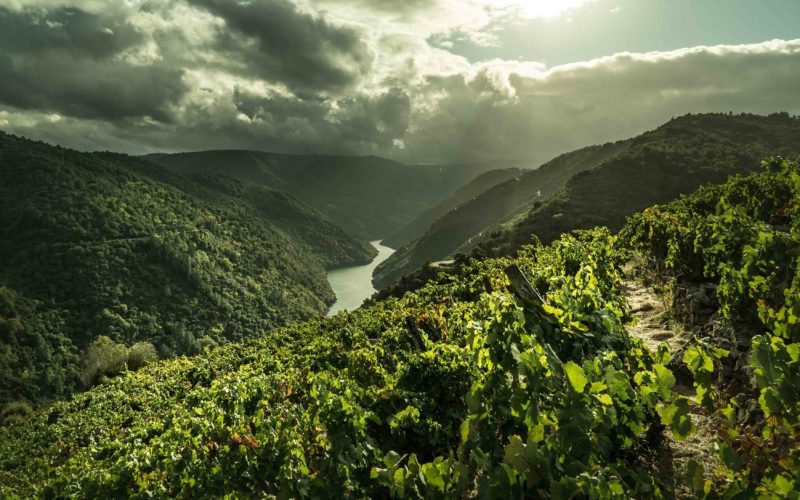 Ribeira Sacra