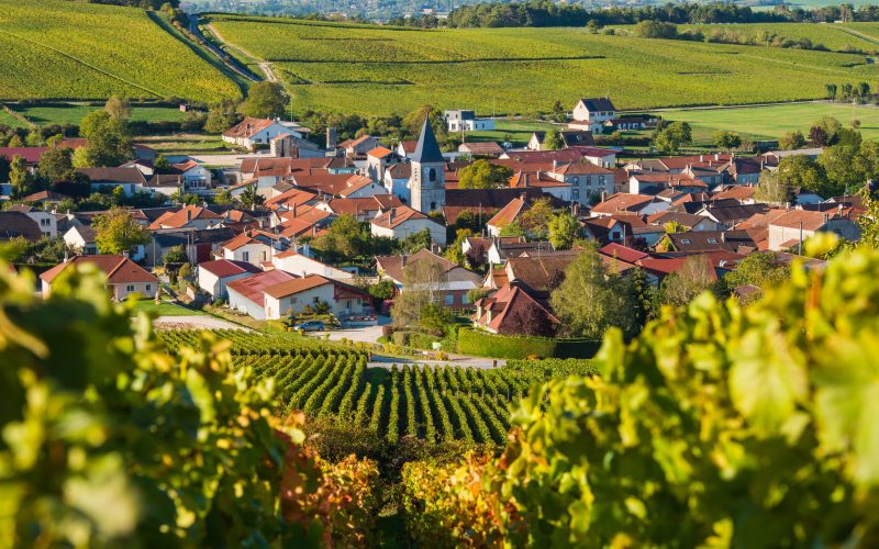 Ubicándonos en Champagne