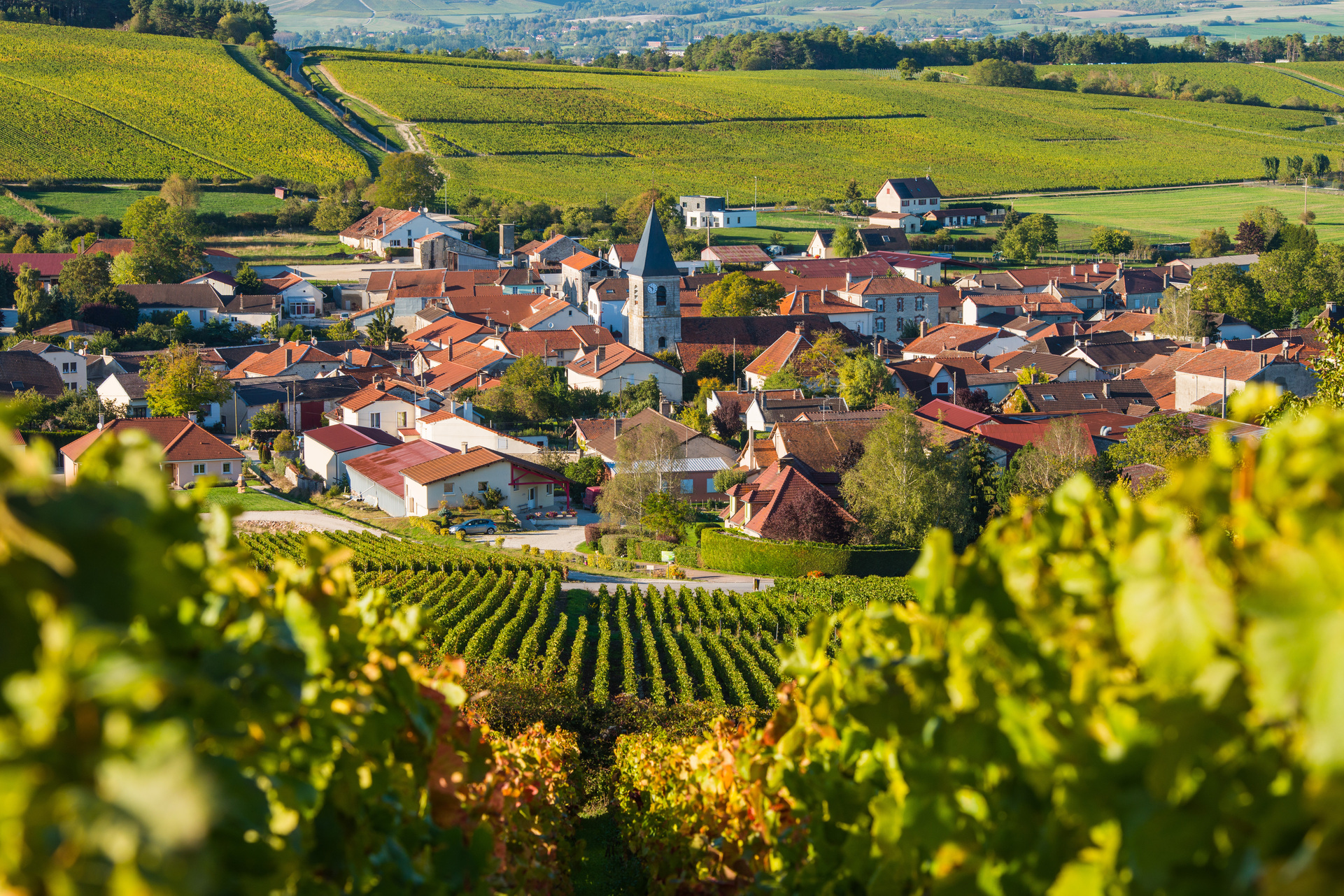 Ubicándonos en Champagne, Francia | Rimontgó Bodegas