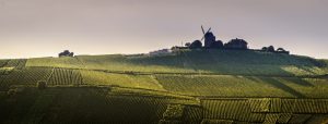 El sistema de Crus en Champagne El sistema de Crus en Champagne