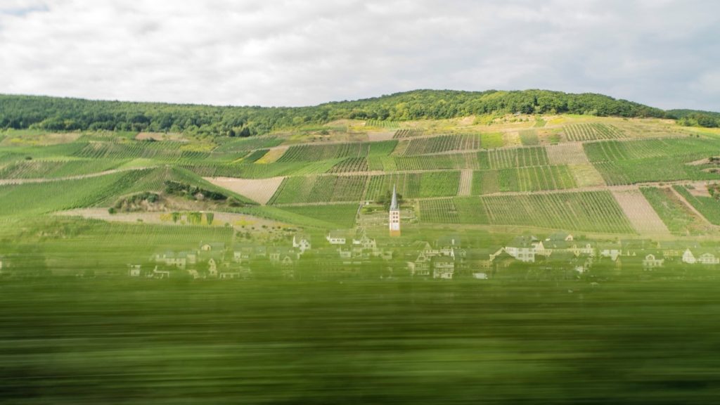 Fäden, die verschiedene Weißweinanbaugebiete miteinander verbinden