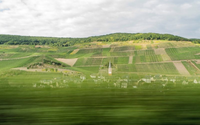 Fäden, die verschiedene Weißweinanbaugebiete miteinander verbinden