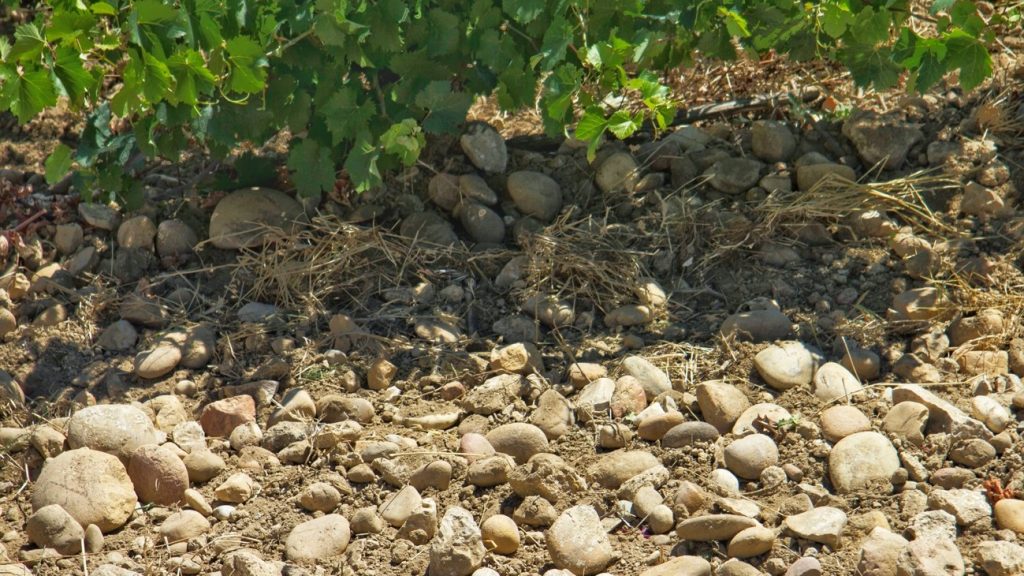 Chateauneuf du Pape