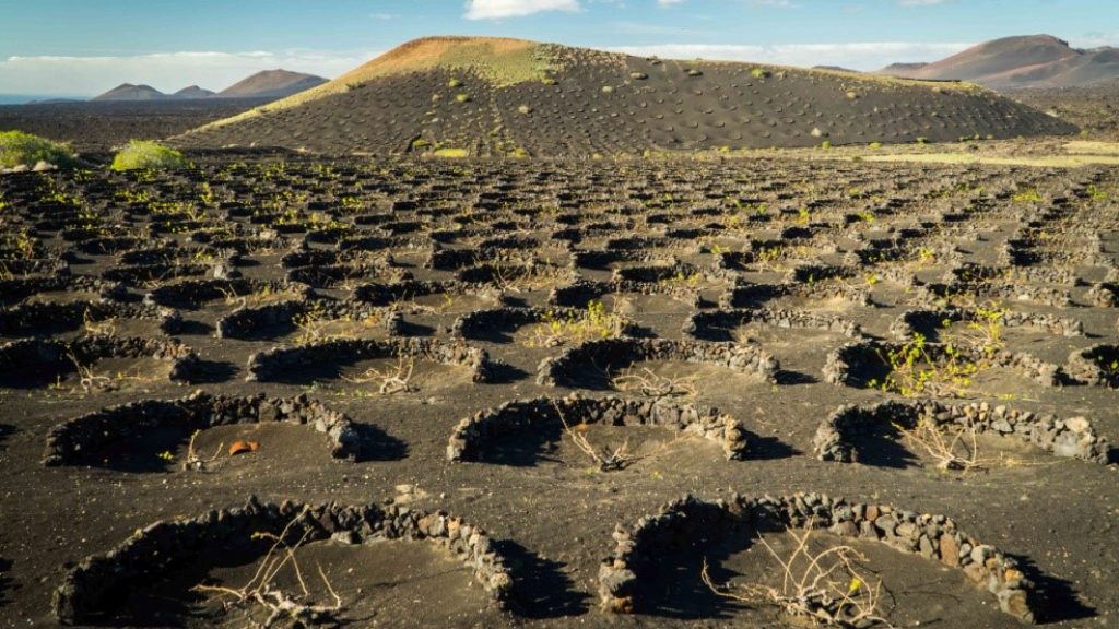 Canary islands