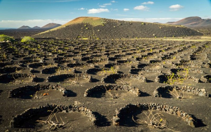 Canarias