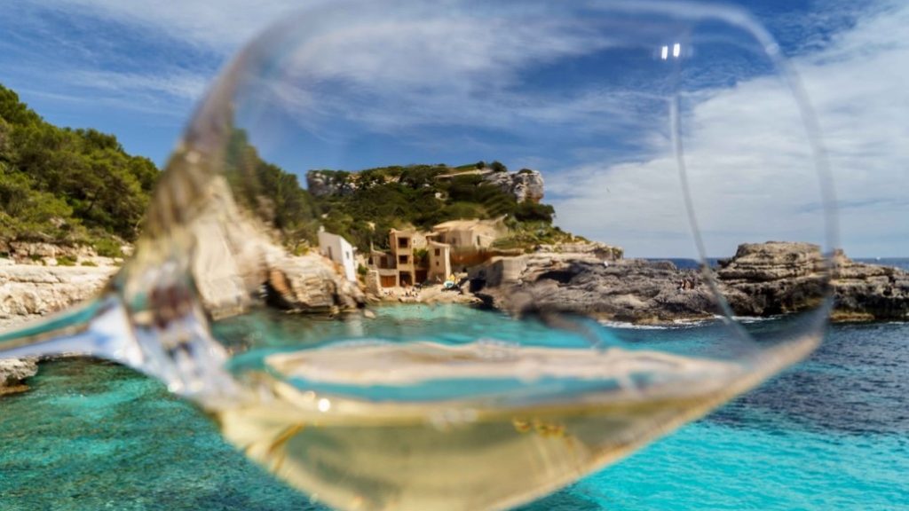 Best wines to drink in summer