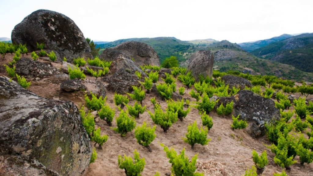 Sierra de Gredos