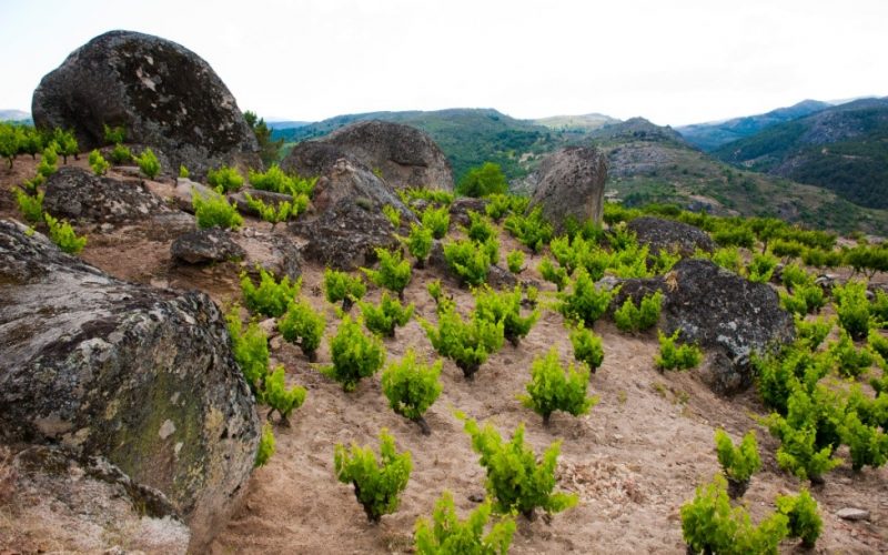 Serra de Gredos