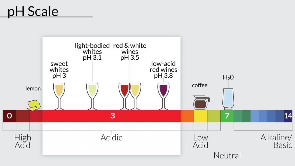 The acidity of wines