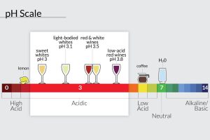 L'acidité de vins