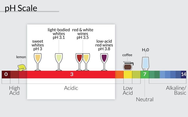 The acidity of wines