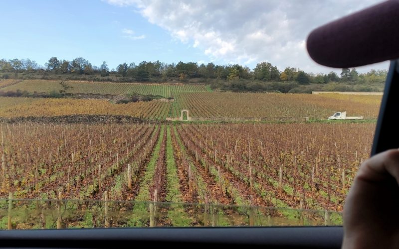 Del terroir, clones y productores