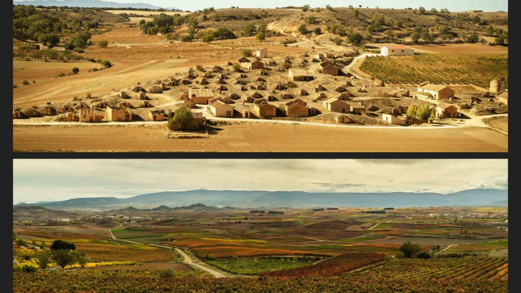 Tópicos absurdos. Rioja o Ribera (1)