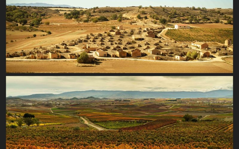 Tópicos absurdos. Rioja o Ribera (1)