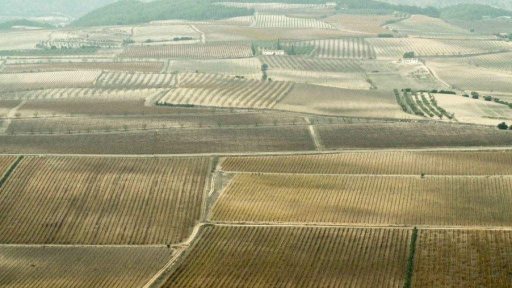 agriculture