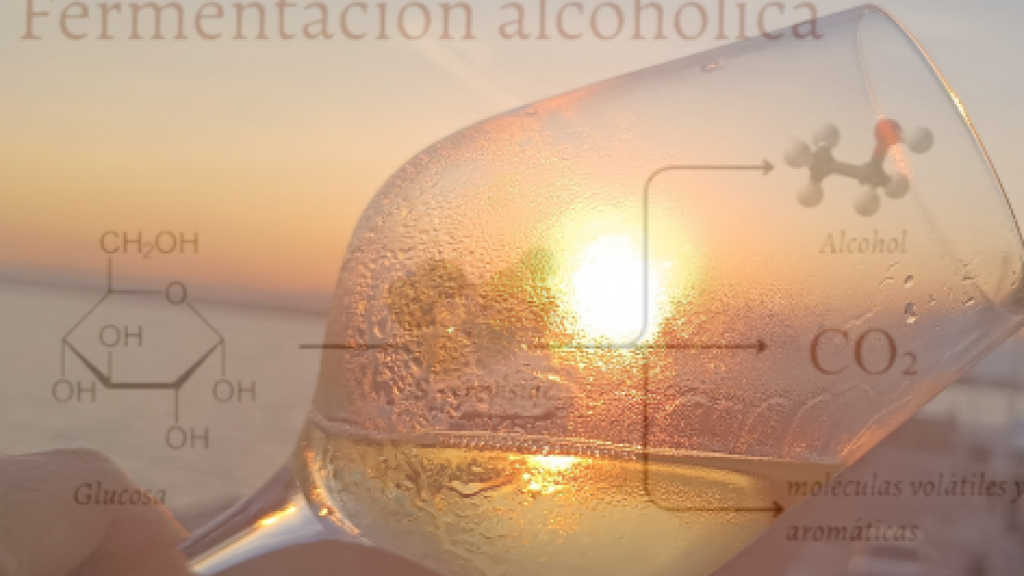 La química del vino