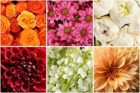 Flores y vegetales