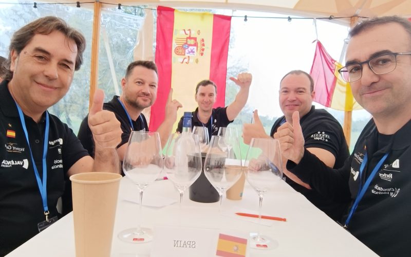 cata a ciegas 2026