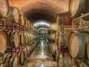 Las bodegas de los famosos