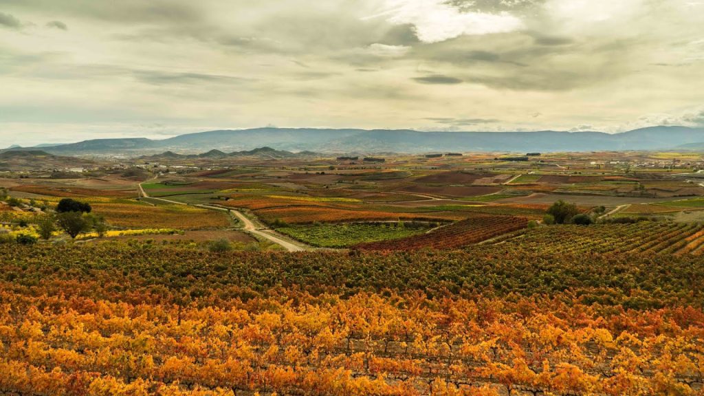 colores vino otoño